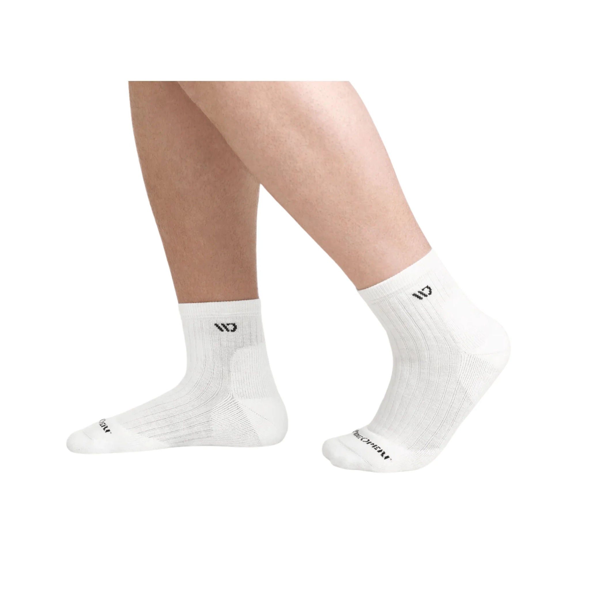 Wide Open Men's Solid Cushioned Quarter Socks - White by Lenny's Shoe & Apparel