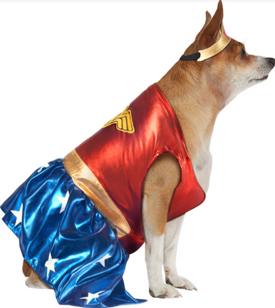 Ruby Slippers Wonder Woman Pet Costume Extra Large