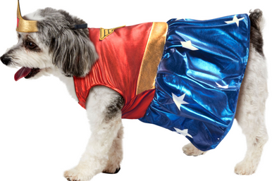 Ruby Slippers Wonder Woman Pet Costume Extra Large