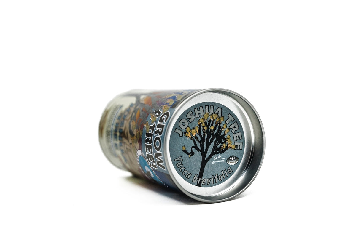 Joshua Tree  Seed Grow Kit