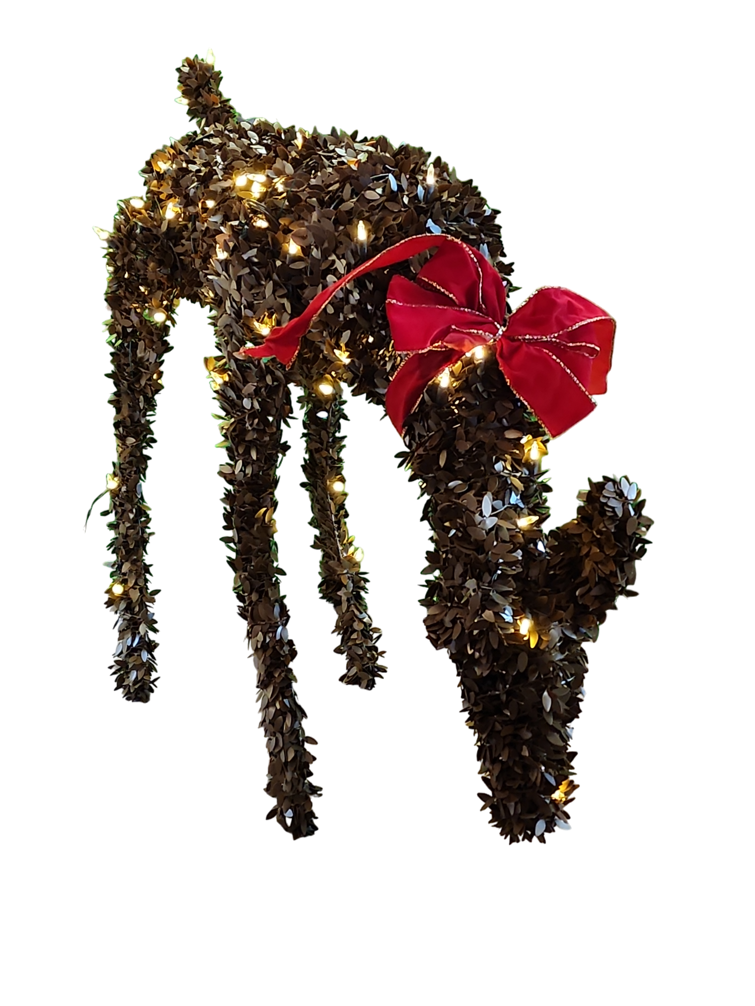 Lighted Boxwood Reindeer Doe - 44 Inches Long