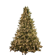 Lush Douglas Fir Tree - 9 Foot - 500 Clear Bulbs