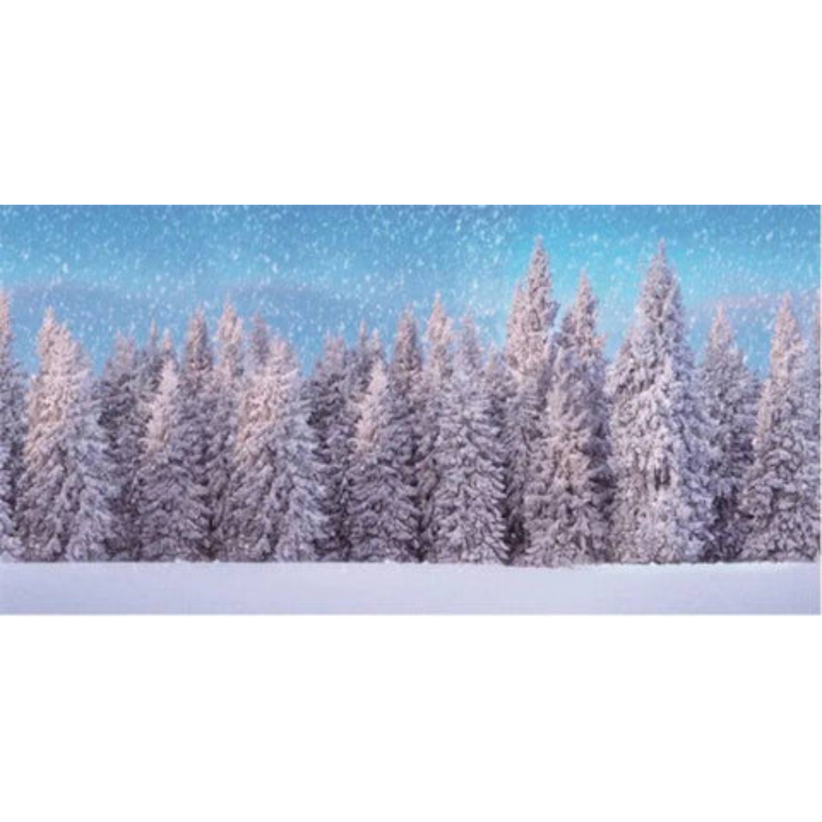 Huge Village Background Cloth - Snow Forest - 10 x 5 foot