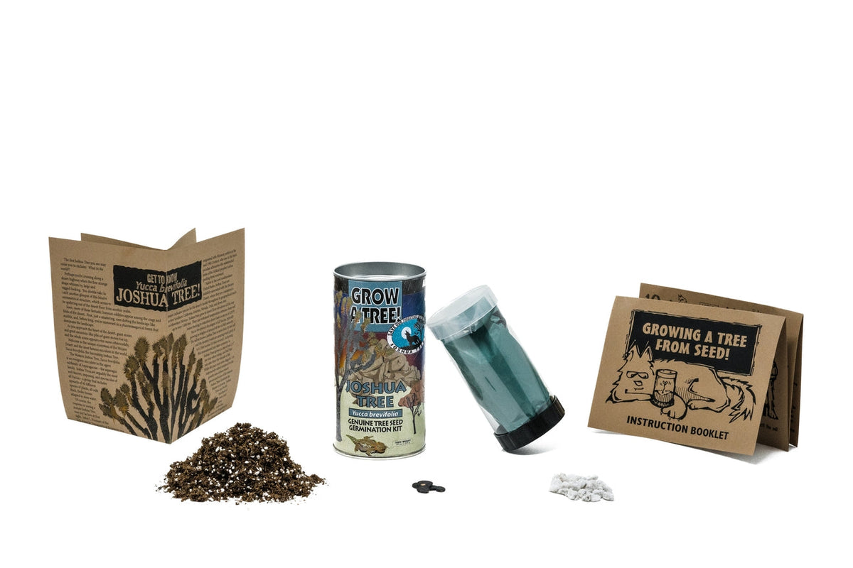 Joshua Tree  Seed Grow Kit