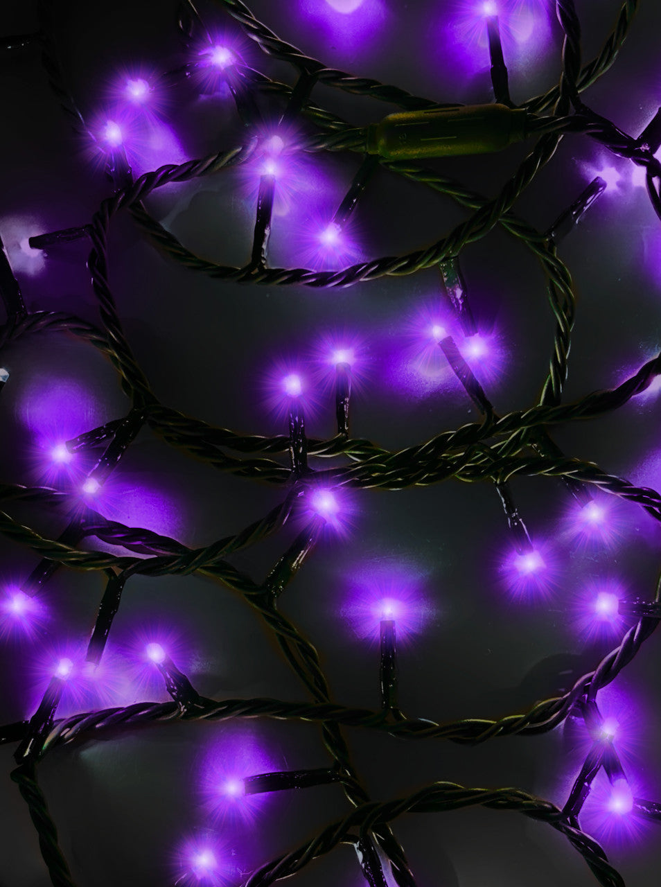 Jingle Bright 100 LED Light Set - Purple - Green Wire