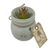 Faux Echeveria Succulent in Glass Jar