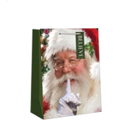 Traditional Small Gift Bag - Santa