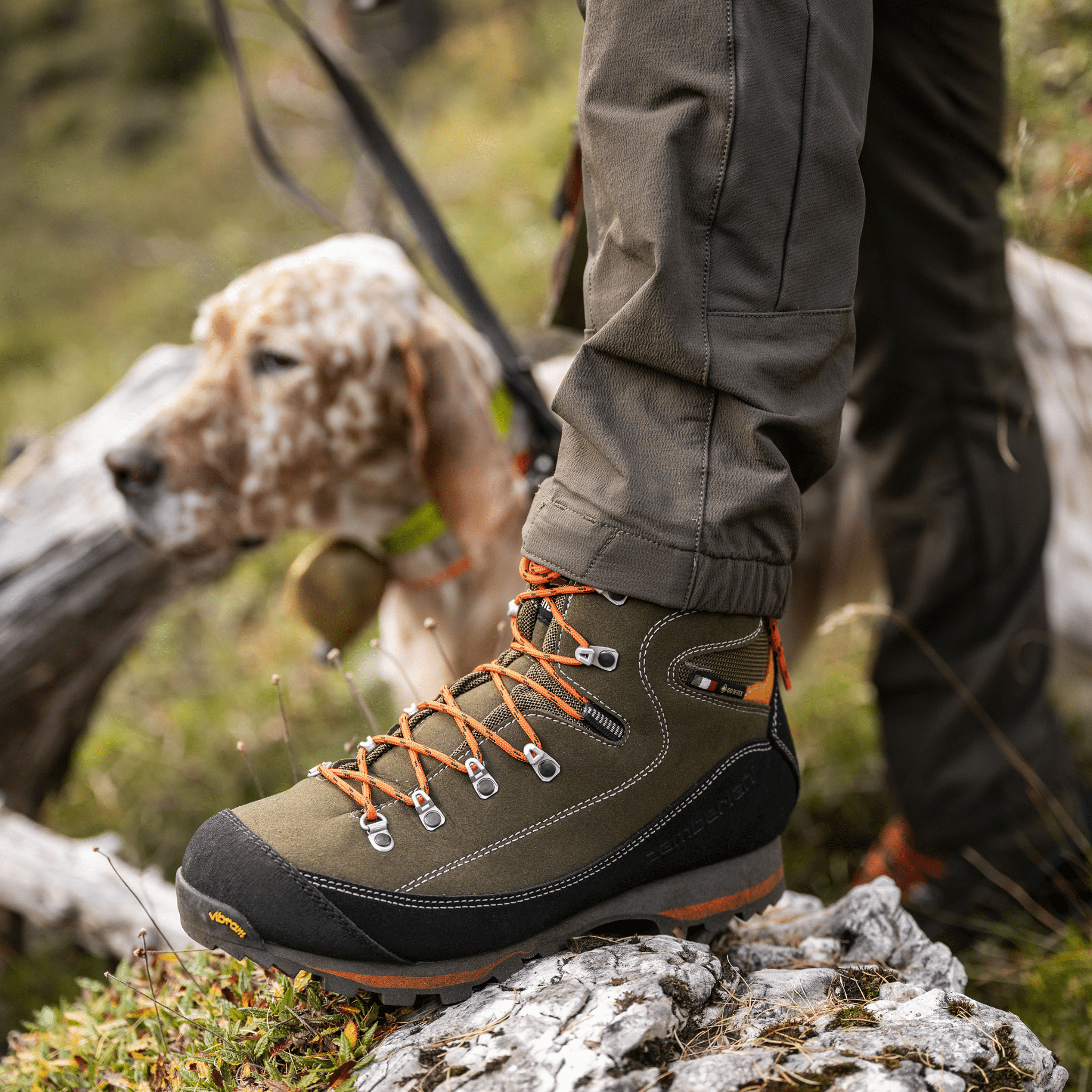 Zamberlan Men's Sierra GTX Boots - Forest by Lenny's Shoe & Apparel