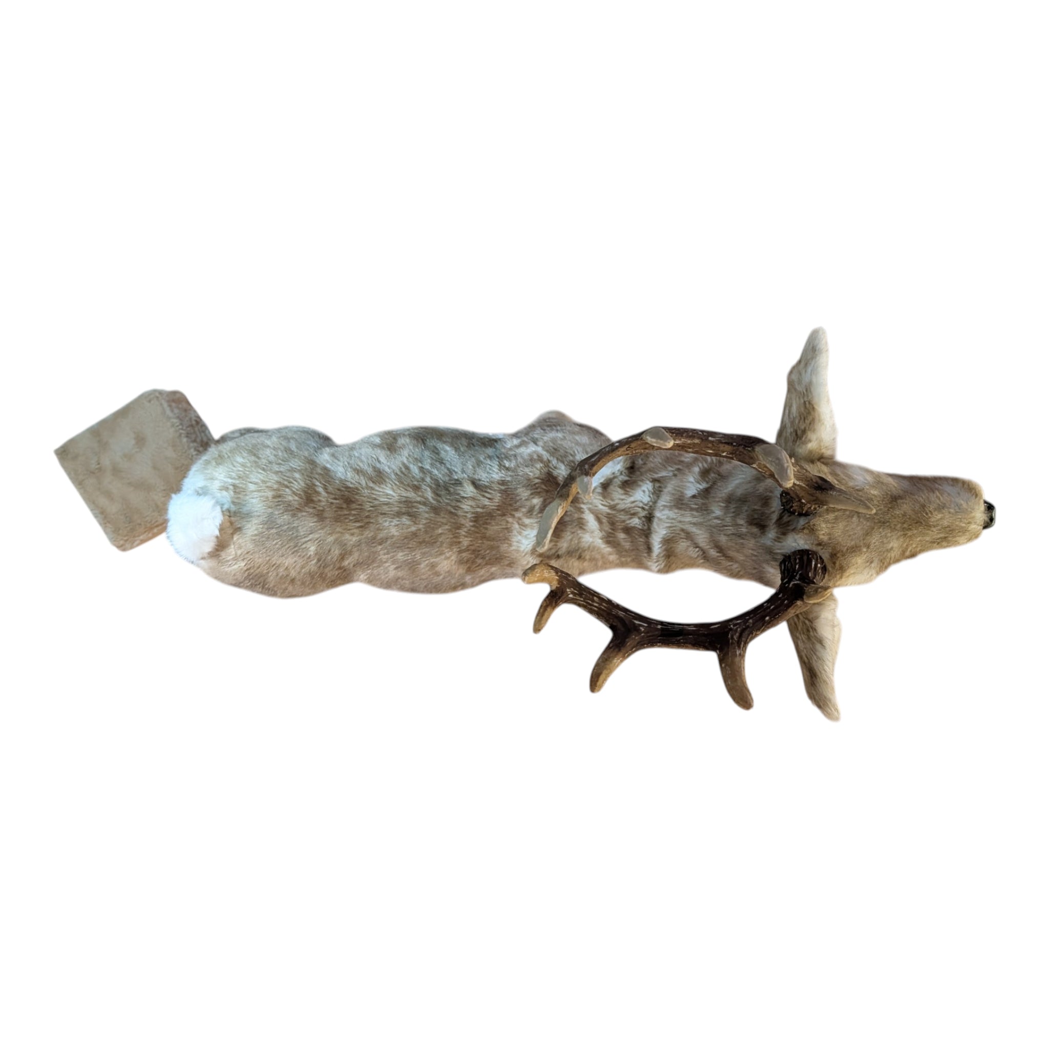 Animated Baby Deer with Music - 33 Inch - Woodland Grey