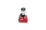 Bernese Mountain Dog with Bone Ornament
