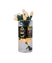 25-Light Warm White Pearl LED C7 Light Set With Green Wire