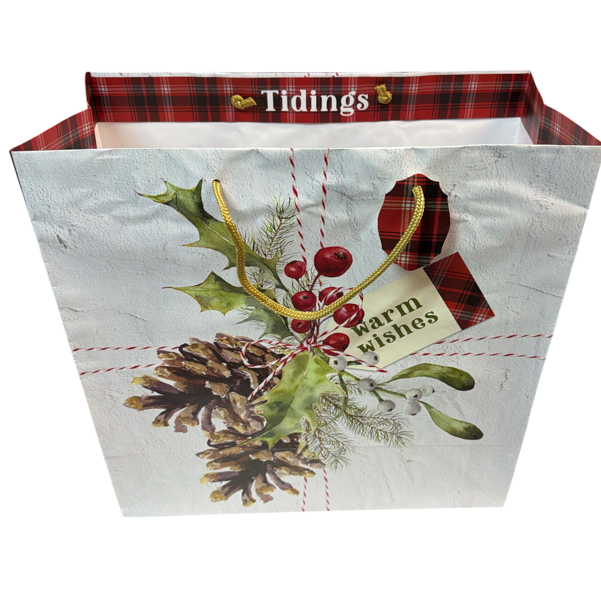Jumbo Square Gift Bag - Botanical